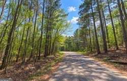 Bailey Avenue, Wedowee, AL 36278