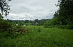 NE 389th St, Amboy, WA 98601