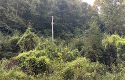 9999 Little Leatherwood Creek Road, Cornettsville, KY 41731