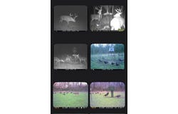 230 Pineywoods Rd, Macon, MS 39341