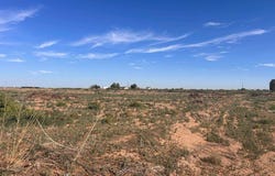 BRANTLEY Rd, Carlsbad, NM 88220