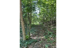 313 W Spruce Street E, Big Rapids, MI 49307