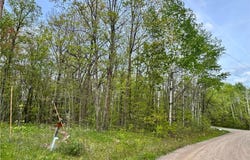 Tbd TBD, Garrison, MN 56450
