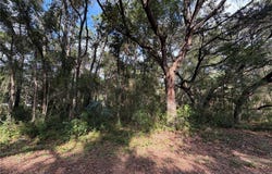 SE 169TH CT, OCKLAWAHA, FL 32179
