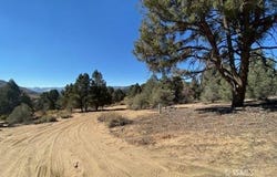 Conifer, Kennedy Meadows, CA 93527