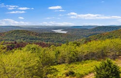 3336 State Highway Y, Galena, MO 65656
