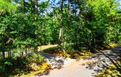 TRACT A Lickville Road, Belton, SC 29627-8700