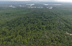 162 Carriage Place, Satsuma, FL 32189