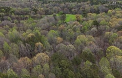 1032 MS-35, Cascilla, MS 38920