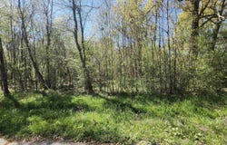 Sunnybrook Dr, Baton Rouge, LA 70814