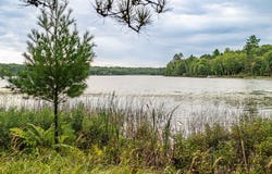 003 Birch Lake Road, Barnes, WI 54873