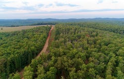 3975 NC 9560, Pettigrew, AR 72752
