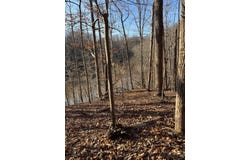 Poplar Dr lot: 26, Hardy, VA 24101