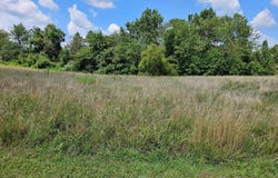Jenna Lane, West Frankfort, IL 62896