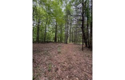 3680 Wieman Road, Beaverton, MI 48612
