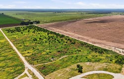 FM 187, Sabinal, TX 78881