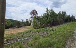 Scenic View lot: 9, Edgemont, AR 72044
