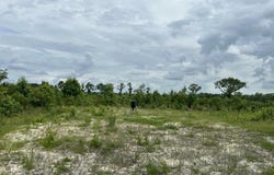 Pughsley Road, Stapleton, GA 30823