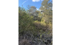 Palikea Cir lot: 539, Bastrop, TX 78602