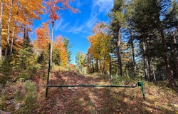 ON REED RD, Three Lakes, WI 54562