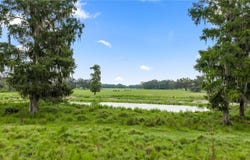 COUNTY ROAD 774, WEBSTER, FL 33597
