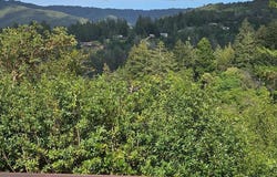 24766 Skyland RD, LOS GATOS, CA 95033