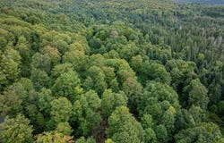 Wood Yard Crossing lot: 7, Pittsburg, NH 03592