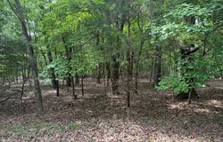 218 CR 472 lot: 40, Clarkridge, AR 72623