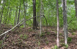 Sheets Trail, Germanton, NC 27019