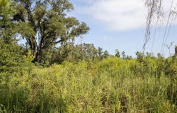 46TH ST., Live Oak, FL 32060