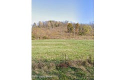 1175 Joyce Mill Rd, Bedford, KY 40006