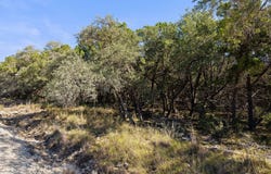 1770 Divide Pass, Blanco, TX 78606-4675