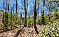 Hemlock Falls Drive lot: 9, Sylva, NC 28779