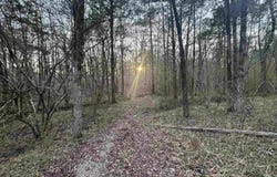 Countryside Dr, Quitman, AR 72131