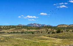 Chama W, Chama, NM 87520