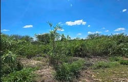 6339 & 6361 Vega Verde Rd, Del Rio, TX 78840