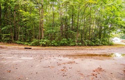 Downs Brook Dr lot: 14, Roanoke Rapids, NC 27870