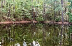 Parcel: 12636 CR 4740, Kennard, TX 75847