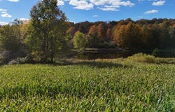 Duke Rd, Cincinnatus, NY 13040