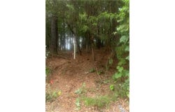 2054 Euharlee Road SW, Taylorsville, GA 30178