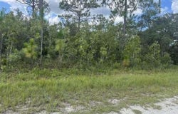 Parrot Road, Weeki Wachee, FL 34614