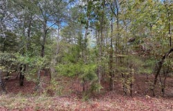 Cuenca Cir lot: 62, Hot Springs Village, AR 71909