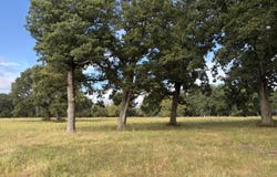 006 S 1481 Road, Stockton, MO 65785