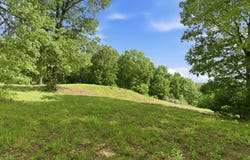 1481 Road, Stockton, MO 65785