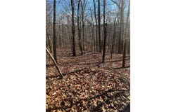 Madison 3605, Kingston, AR 72742