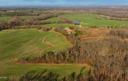 1471 Douglas Loop, Stanton, TN 38069