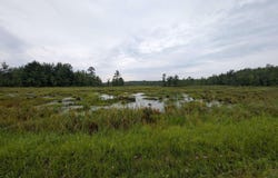 Old State Road, Lisbon, NY 13658