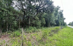 NE 65TH Lane, BRONSON, FL 32621