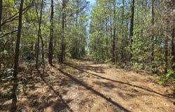 Renee Drive lot: 1, Hampstead, NC 28443
