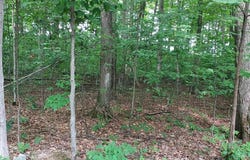 19 Beech Knoll, Bellaire, MI 49615
